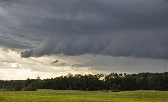Prairie Storm Clouds Canada Saskatchewan Dramatic Summer