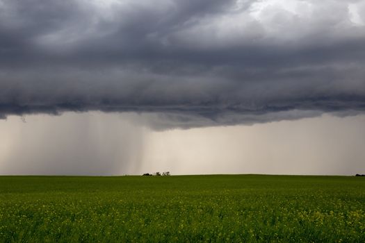 Prairie Storm Clouds Canada Saskatchewan Dramatic Summer
