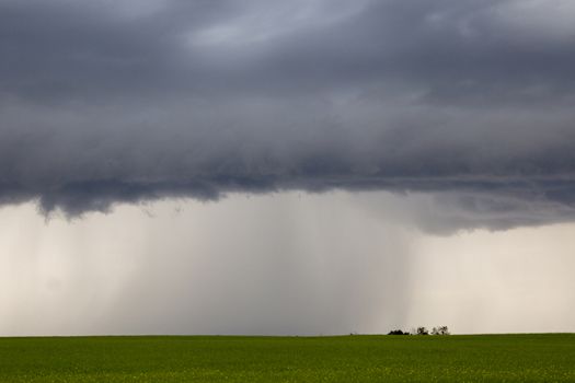 Prairie Storm Clouds Canada Saskatchewan Dramatic Summer