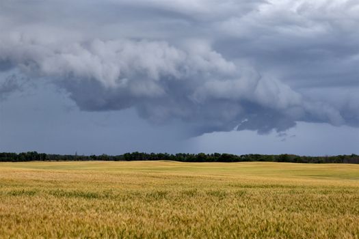 Prairie Storm Clouds Canada Saskatchewan Dramatic Summer
