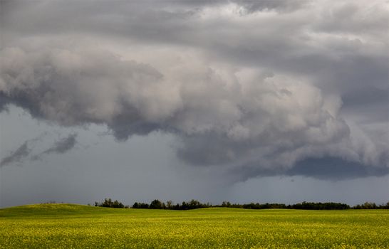 Prairie Storm Clouds Canada Saskatchewan Dramatic Summer