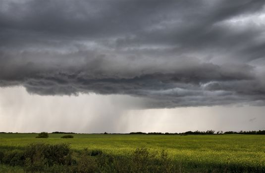 Prairie Storm Clouds Canada Saskatchewan Dramatic Summer
