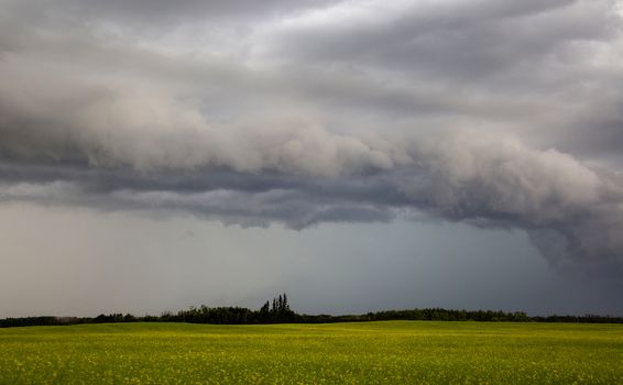 Prairie Storm Clouds Canada Saskatchewan Dramatic Summer
