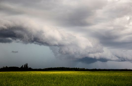 Prairie Storm Clouds Canada Saskatchewan Dramatic Summer