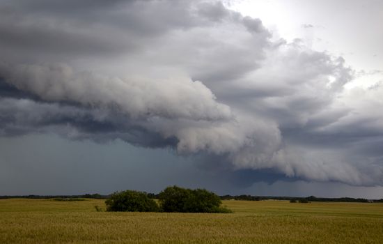 Prairie Storm Clouds Canada Saskatchewan Dramatic Summer