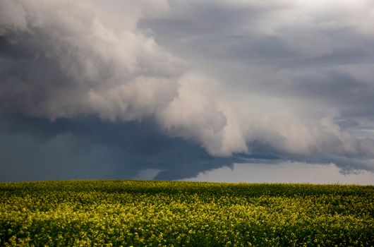 Prairie Storm Clouds Canada Saskatchewan Dramatic Summer
