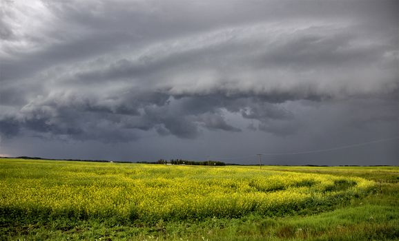 Prairie Storm Clouds Canada Saskatchewan Dramatic Summer