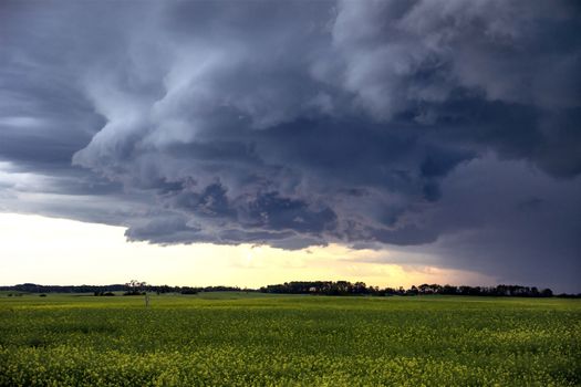 Prairie Storm Clouds Canada Saskatchewan Dramatic Summer