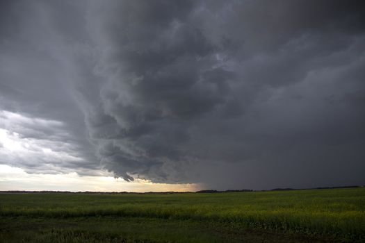 Prairie Storm Clouds Canada Saskatchewan Dramatic Summer