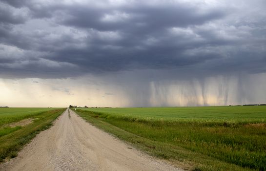 Prairie Storm Clouds Canada Saskatchewan Dramatic Summer
