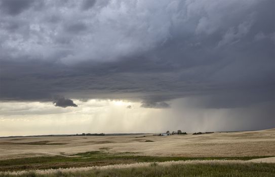 Prairie Storm Clouds Canada Saskatchewan Dramatic Summer