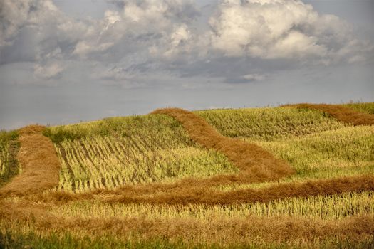 Prairie Storm Clouds Canada Saskatchewan Dramatic Summer