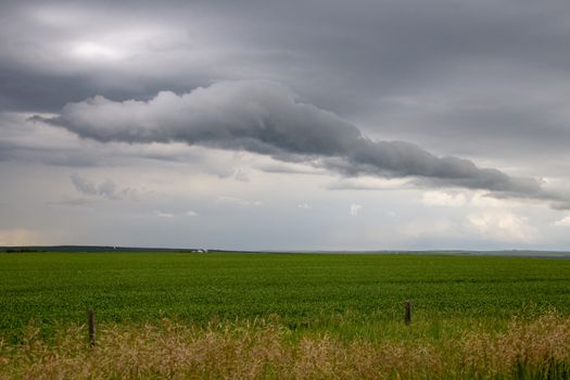Prairie Storm Clouds Canada Saskatchewan Dramatic Summer