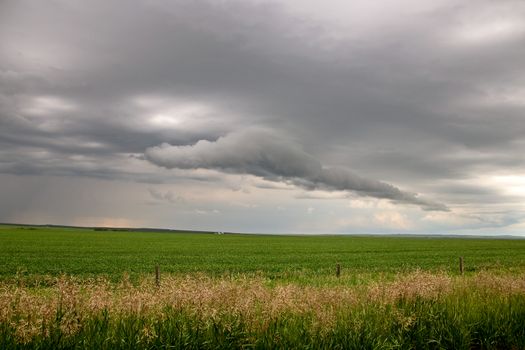 Prairie Storm Clouds Canada Saskatchewan Dramatic Summer
