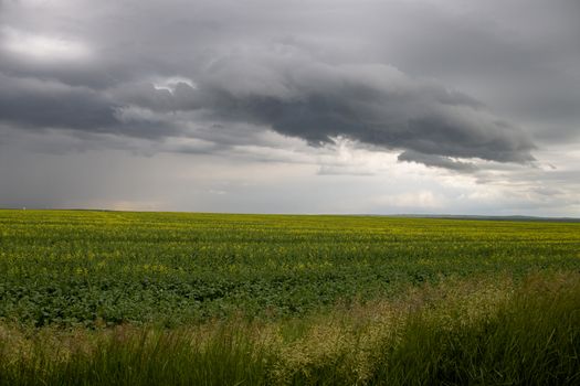 Prairie Storm Clouds Canada Saskatchewan Dramatic Summer