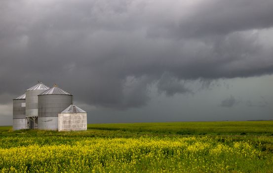 Prairie Storm Clouds Canada Saskatchewan Dramatic Summer
