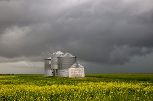 Prairie Storm Clouds Canada Saskatchewan Dramatic Summer