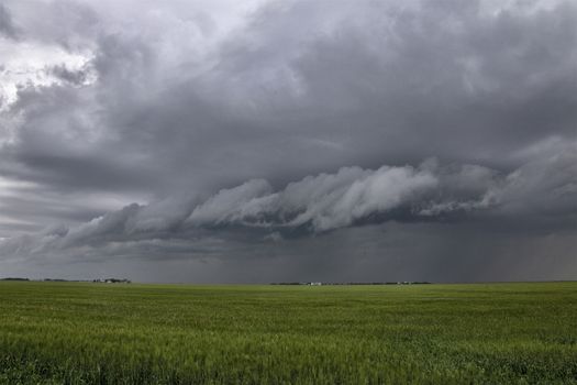 Prairie Storm Clouds Canada Saskatchewan Dramatic Summer
