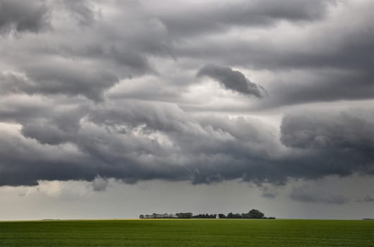 Prairie Storm Clouds Canada Saskatchewan Dramatic Summer
