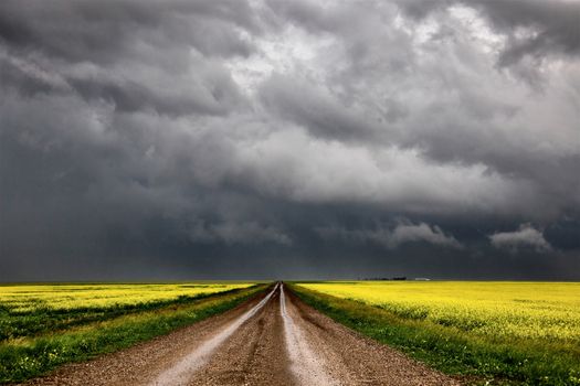 Prairie Storm Clouds Canada Saskatchewan Dramatic Summer
