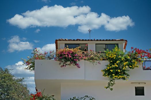 Yellow and red flowers on a stucco veranda