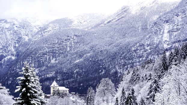 Viewpoint of Hallstatt Winter snow mountain landscape through the forest in upland valley leads to the old salt mine of Hallstatt, Austria