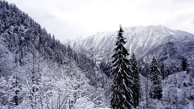 Scenery of forest valley dreamscape Hallstatt winter snow mountain landscape leads to the old salt mine of Hallstatt, Austria
