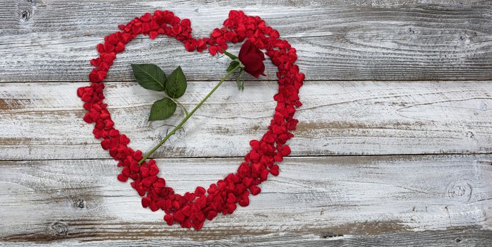 Happy Valentines Day with tiny hearts and a single red rose on white rustic wood    