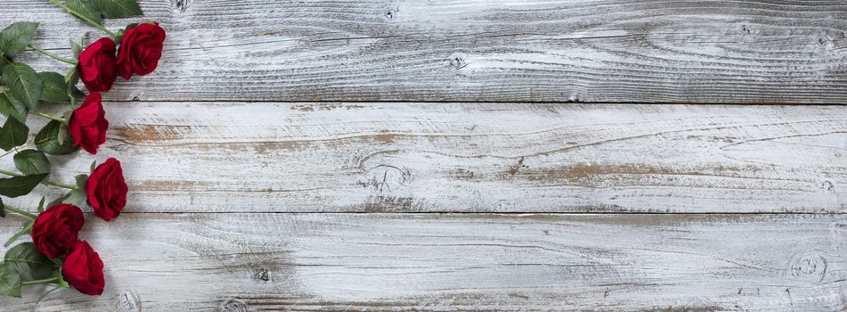 Happy Valentines Day with red roses on white rustic wooden background with plenty of copy space