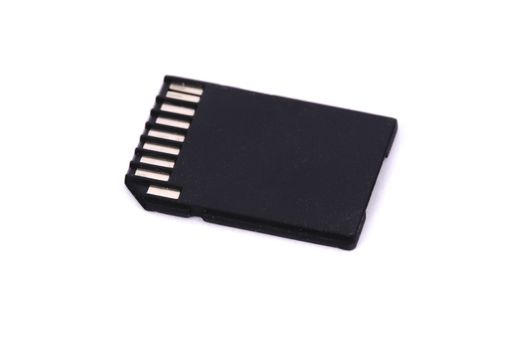 one memory sd card black isolated