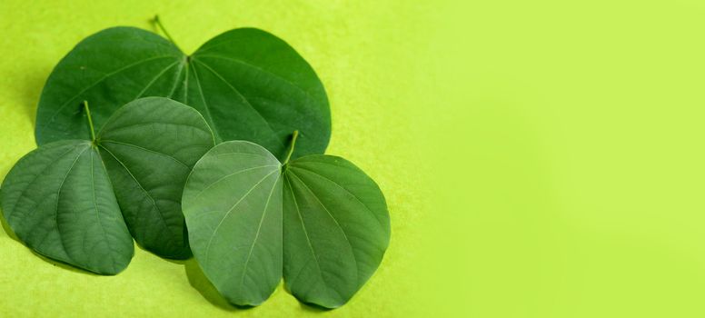 Indian Festival Dussehra, showing golden leaf and flowers on green background. Greeting card.