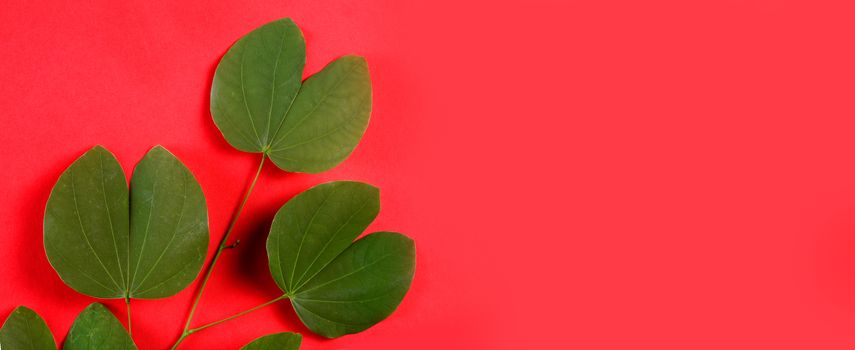 Indian Festival Dussehra, showing golden leaf on red background. Greeting card.