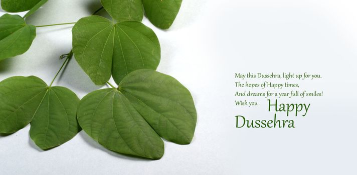 Indian Festival Dussehra, showing golden leaf on grey background. Greeting card.