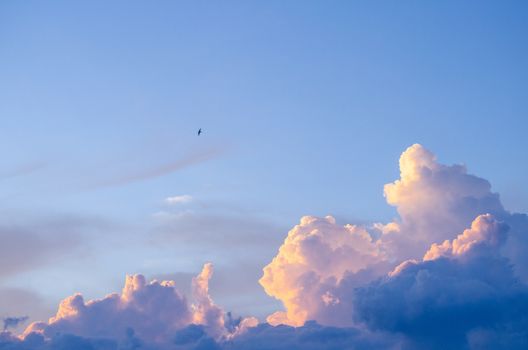 before sunrise . the sky have many color such as res orange blue yellow and purple .it is beautiful background.