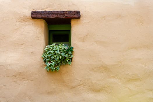 Vintage window with green flowers on plain stone wall, traditional historic medieval house, copyspace, solitude concept