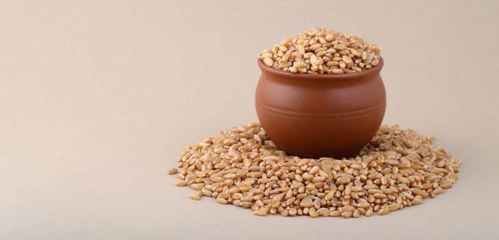 Wheat grains in clay pot on cream background. Close up.