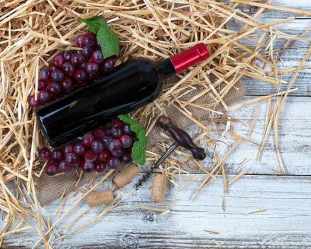 Overhead view of a red wine bottle, grapes plus corkscrew with straw and burlap on white rustic boards 