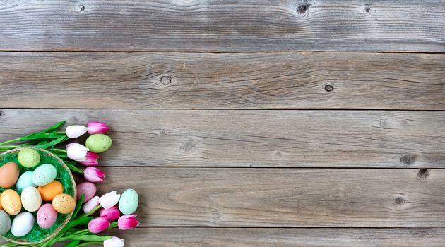 Basket filled with colorful eggs and pink tulips in lower left corner on weathered wooden boards for Easter background  