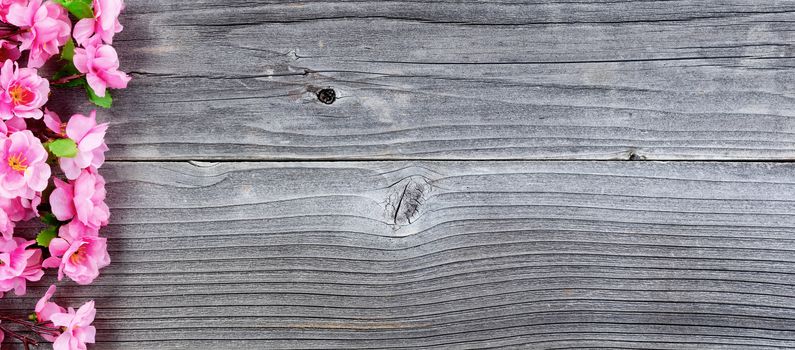 Overhead view of silk cherry blossom branches forming left border on vintage wood for spring time