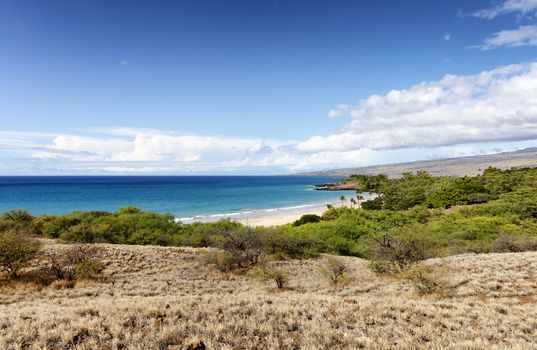 Tropical ocean beach with blue sky during daytime