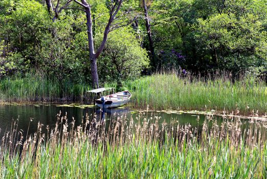 Small old boat in pond with wooden dock