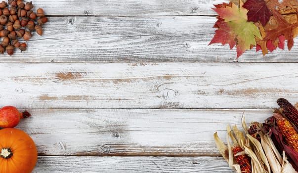 Halloween or Thanksgiving Autumn holiday concept with corn, leaves, pumpkin and acorns in each corner of white rustic wooden background 