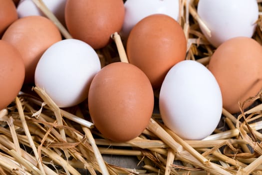 Close up view of brown and white fresh whole eggs in straw on wood.  Select focus on front brown egg. 