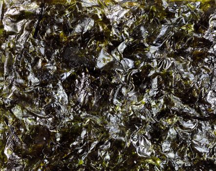 Dried green seaweed in macro background 