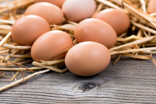 Close up of organic brown eggs on rustic wood and straw. Selective focus on front egg. 