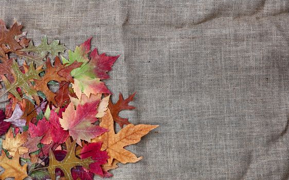 Pile of Autumn leaves on burlap cloth  