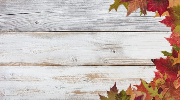 Autumn foliage for Thanksgiving and fall holidays. Right border background with plenty of copy space