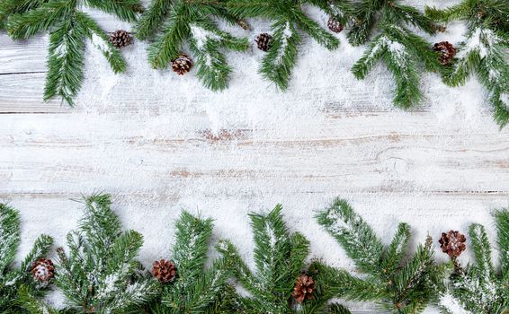Christmas branches covered in snow on rustic white wood background