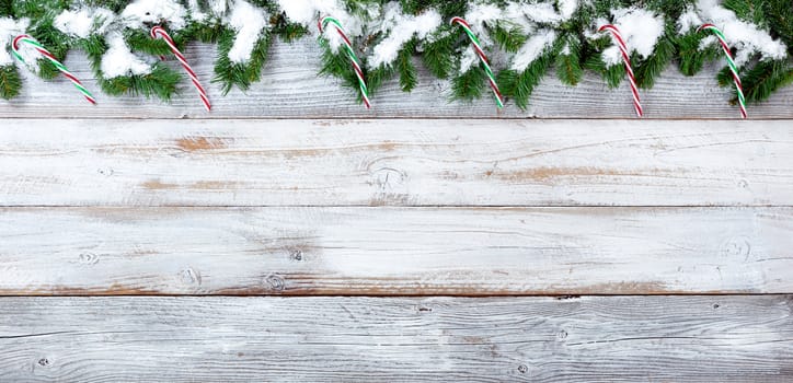 Top border of snow covered Christmas evergreen branches and candy canes on white vintage wood