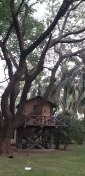 a wood house in a rural area